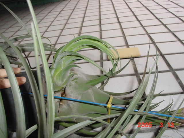 按此在新視窗瀏覽圖片