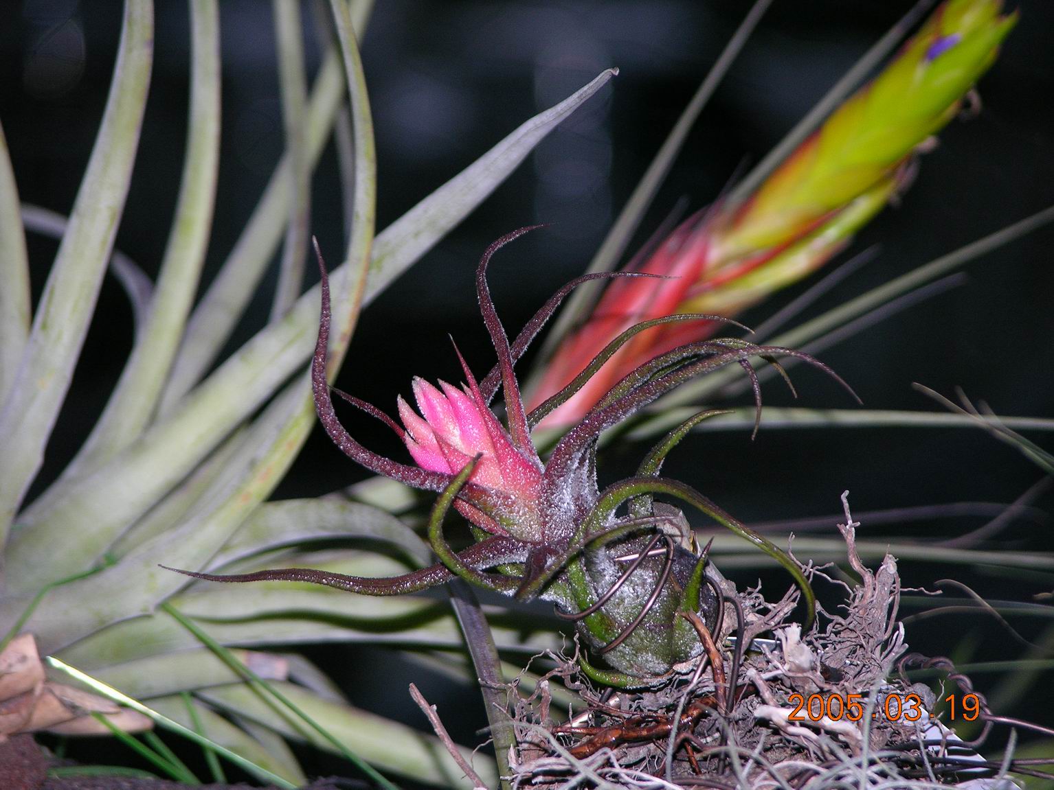 按此在新視窗瀏覽圖片