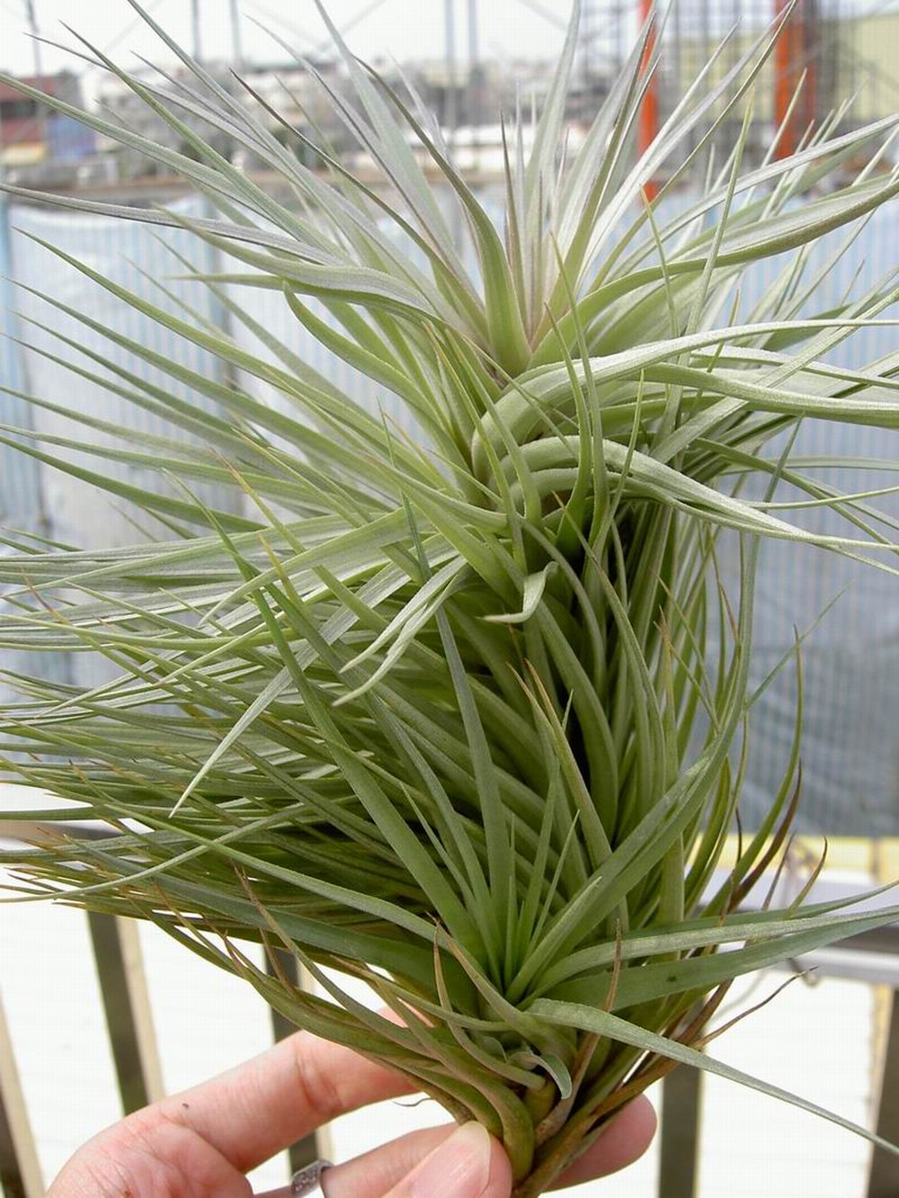 «ö¦¹¦b·sµøµ¡ÂsÄý¹Ï¤ù