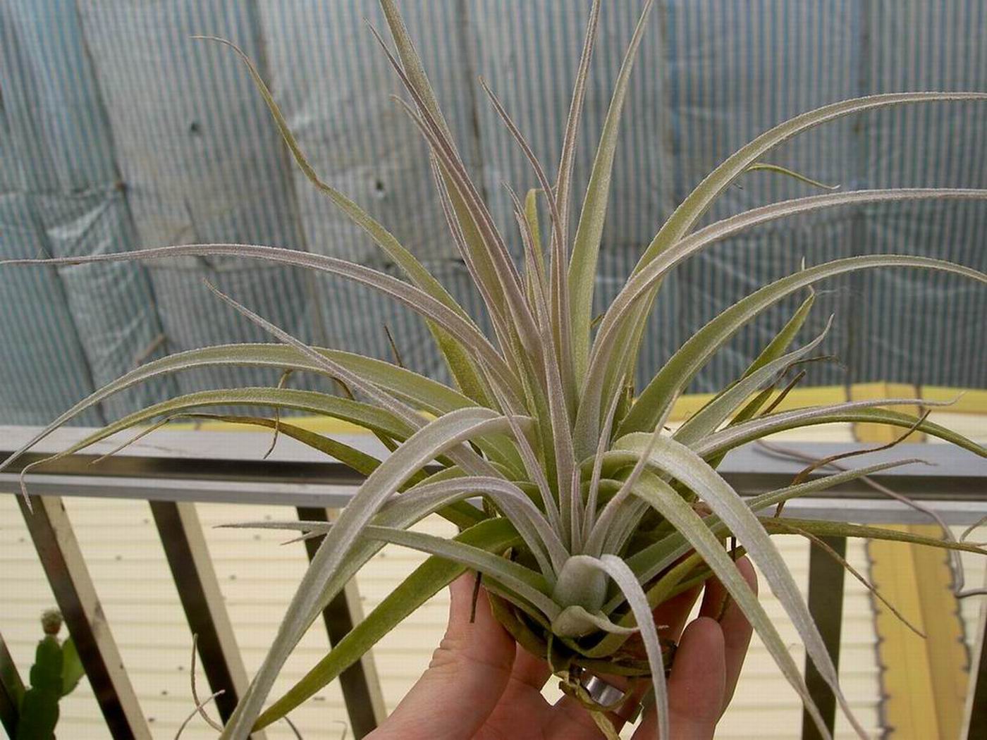 «ö¦¹¦b·sµøµ¡ÂsÄý¹Ï¤ù