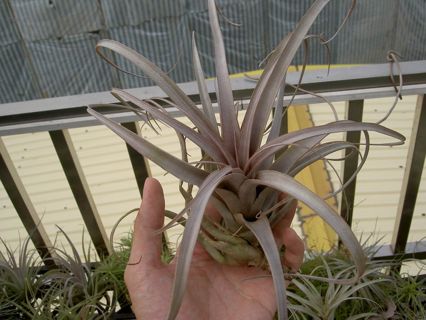 «ö¦¹¦b·sµøµ¡ÂsÄý¹Ï¤ù