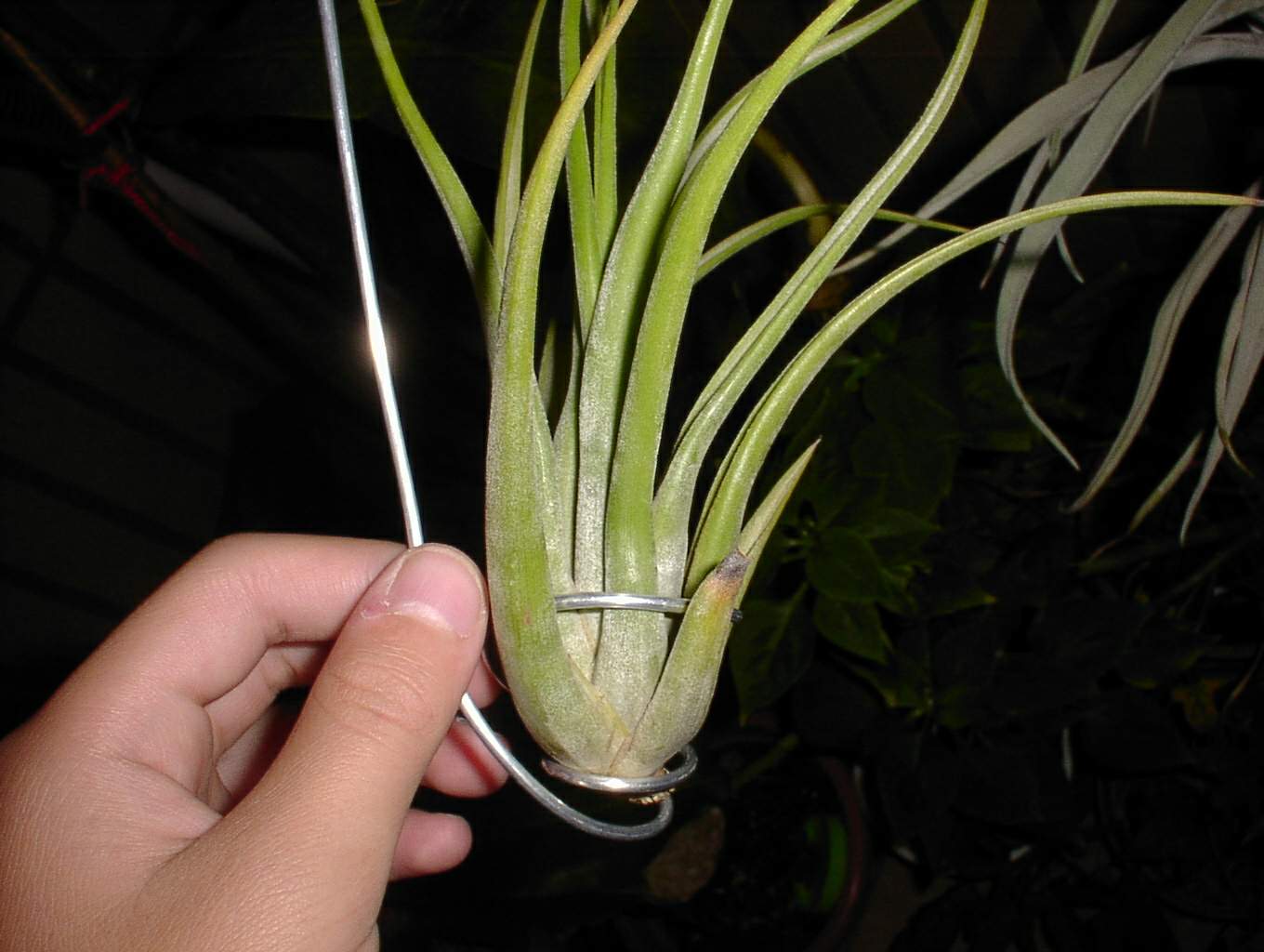 按此在新視窗瀏覽圖片