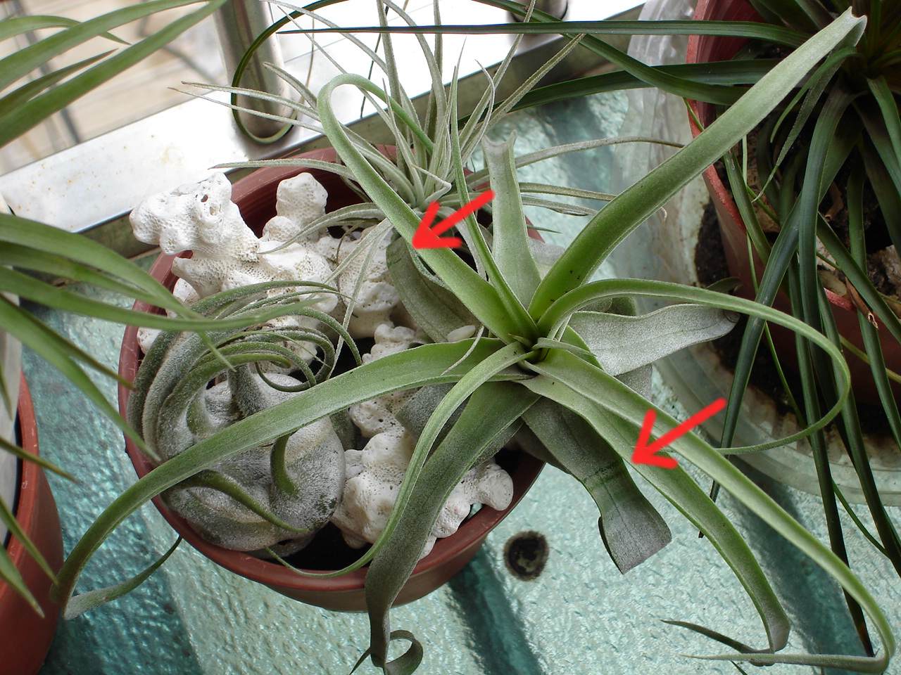 按此在新視窗瀏覽圖片