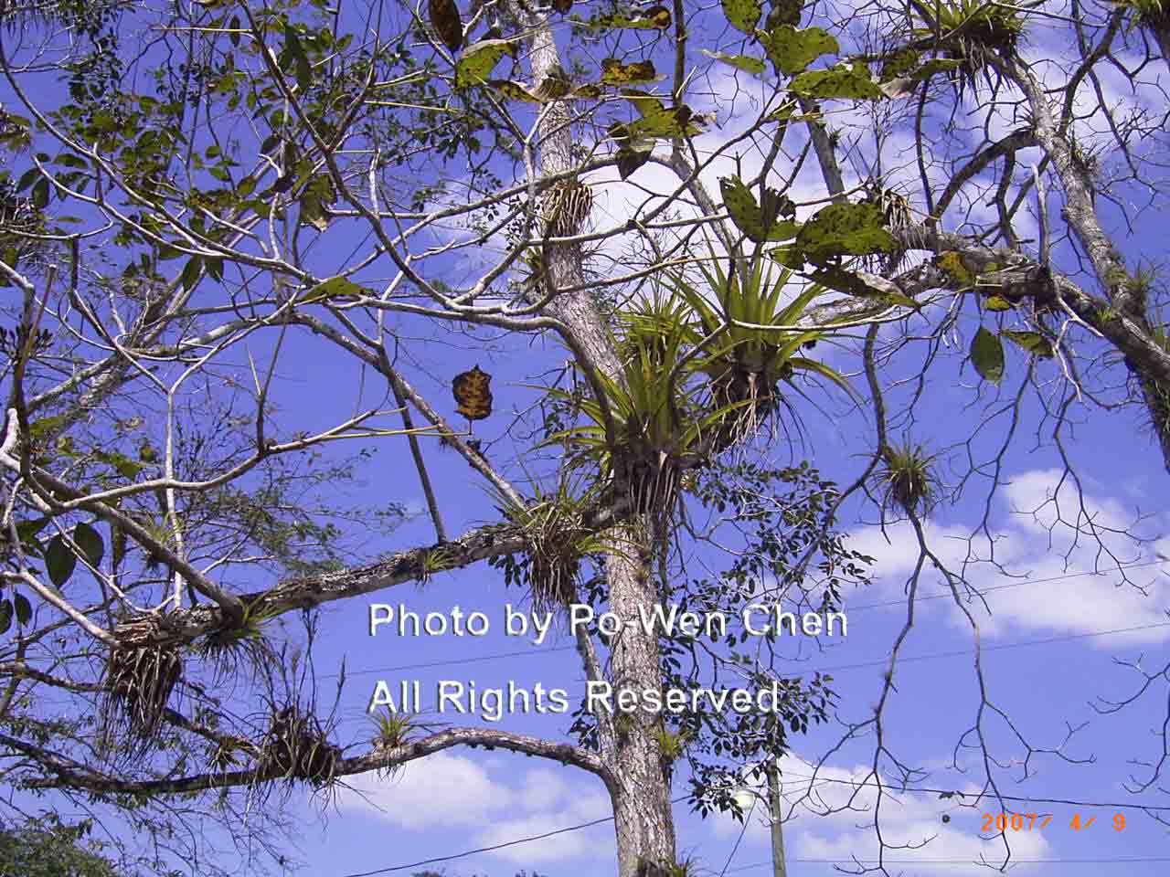 按此在新視窗瀏覽圖片