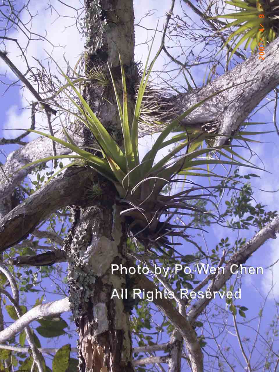 按此在新視窗瀏覽圖片