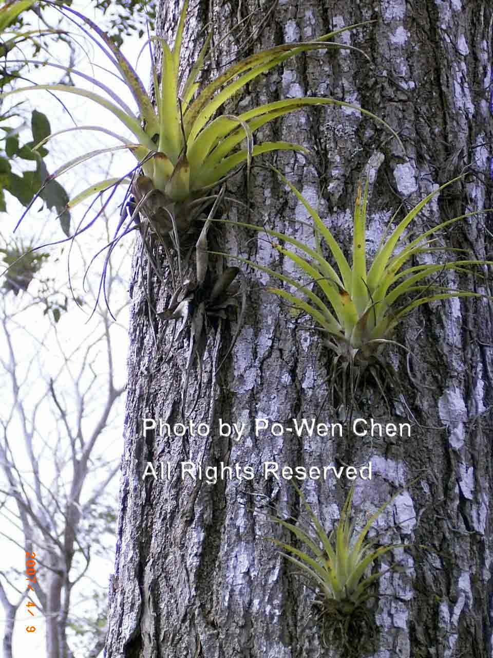 按此在新視窗瀏覽圖片