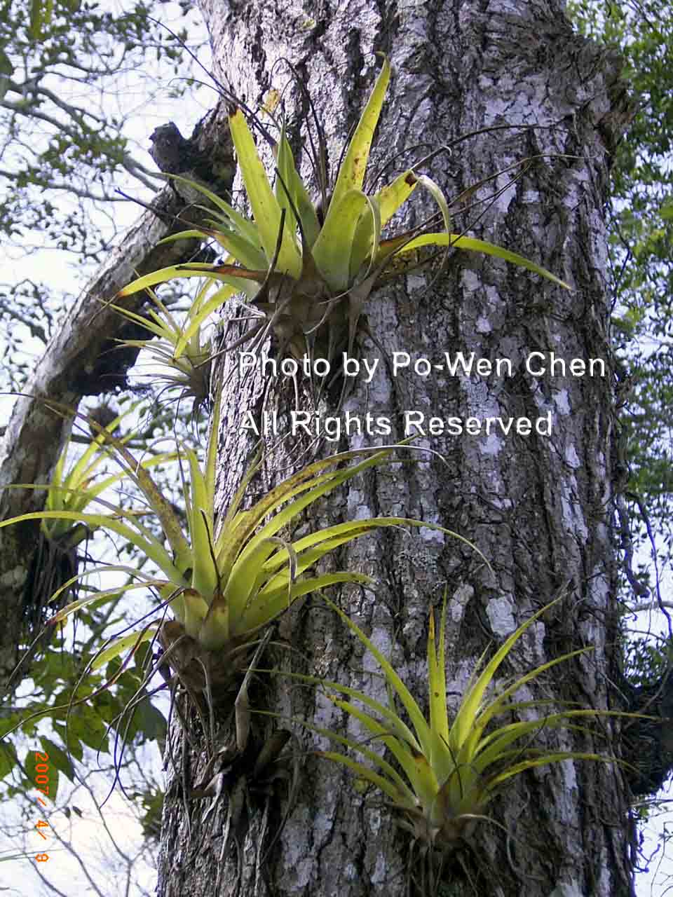 按此在新視窗瀏覽圖片