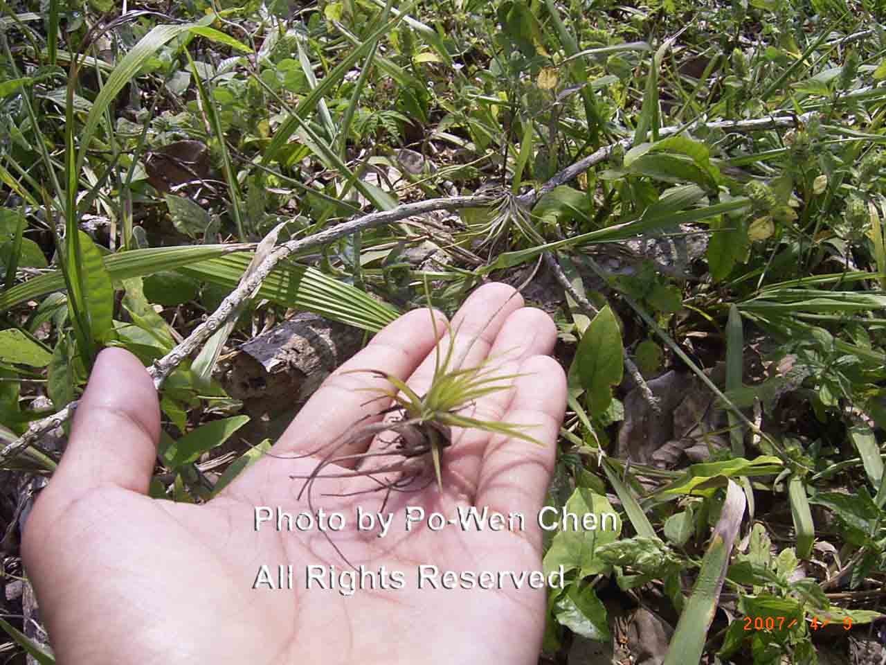 按此在新視窗瀏覽圖片