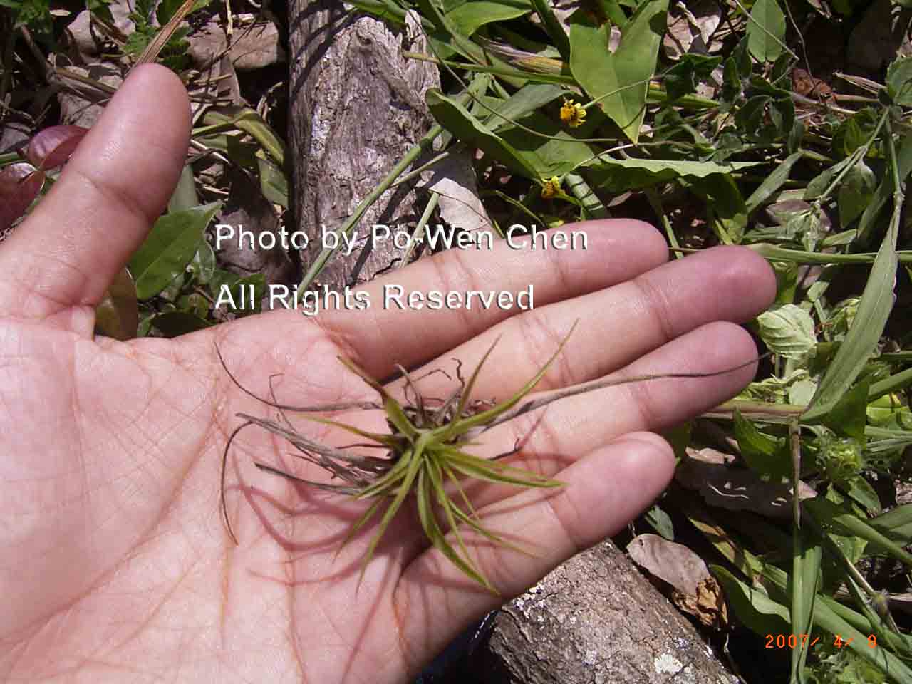 按此在新視窗瀏覽圖片