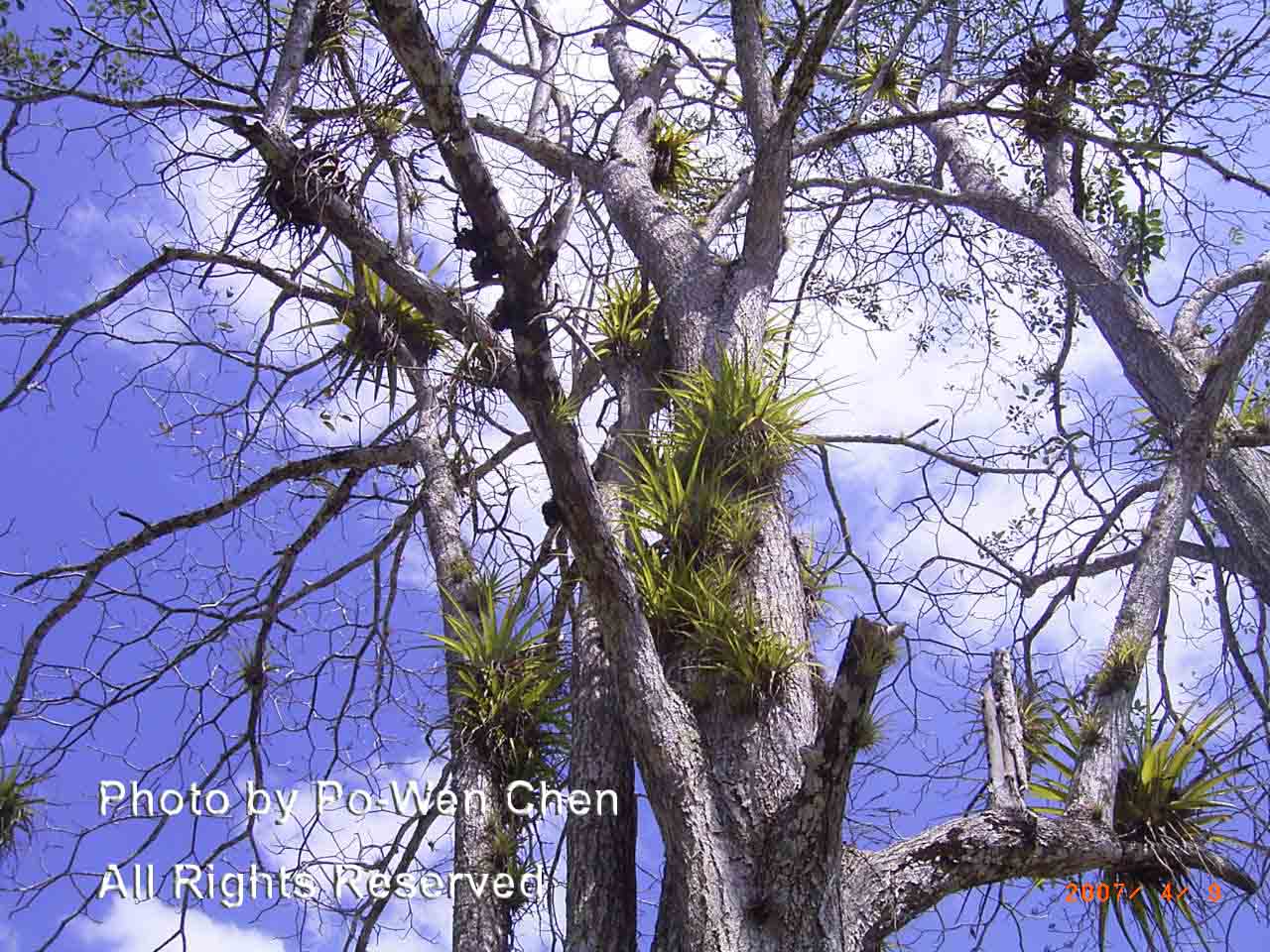 按此在新視窗瀏覽圖片