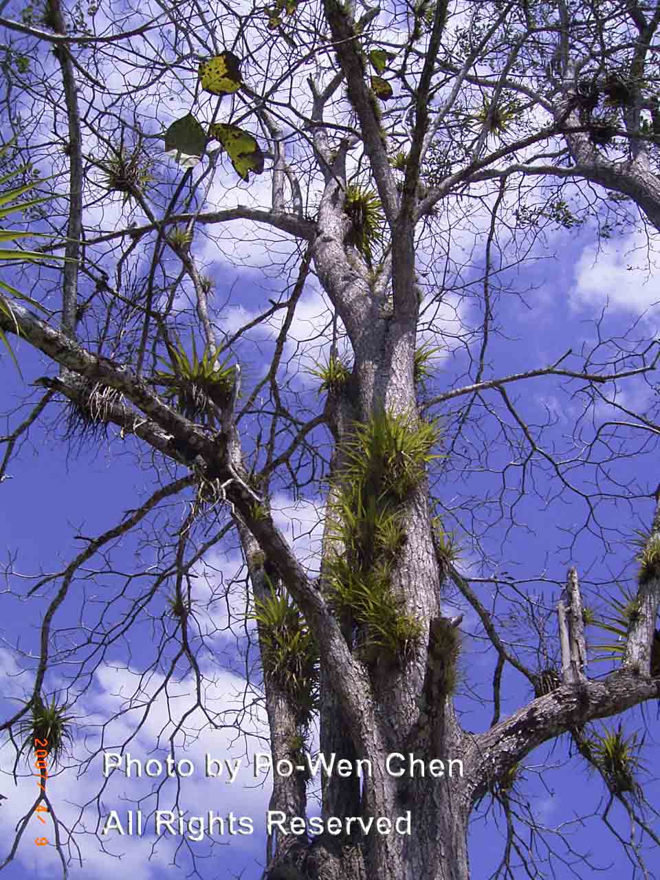 按此在新視窗瀏覽圖片