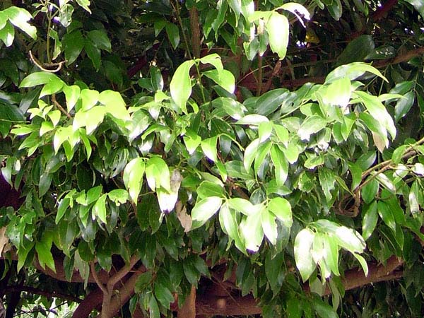 «ö¦¹¦b·sµøµ¡ÂsÄý¹Ï¤ù