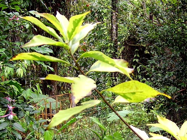 «ö¦¹¦b·sµøµ¡ÂsÄý¹Ï¤ù