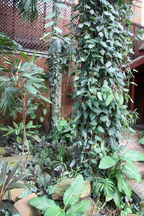 按此在新視窗瀏覽圖片