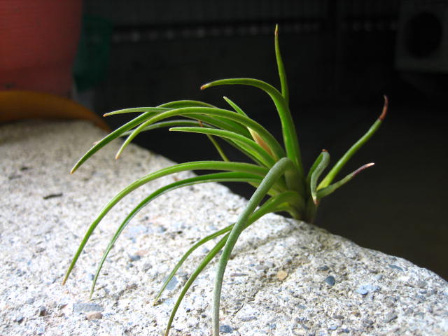 «ö¦¹¦b·sµøµ¡ÂsÄý¹Ï¤ù