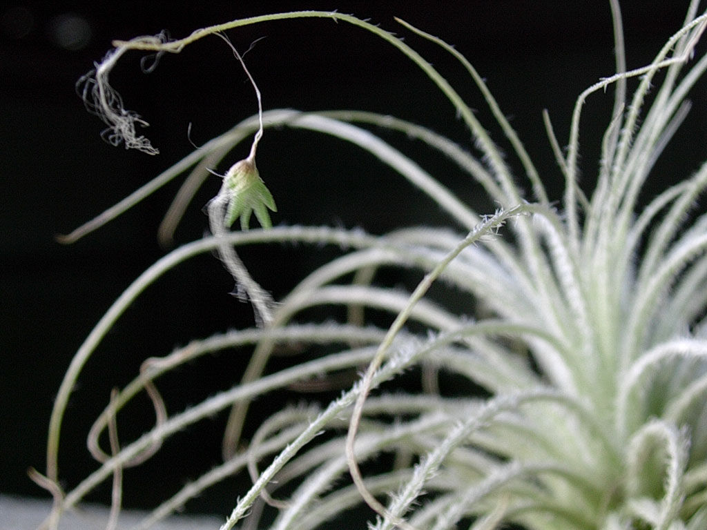 «ö¦¹¦b·sµøµ¡ÂsÄý¹Ï¤ù