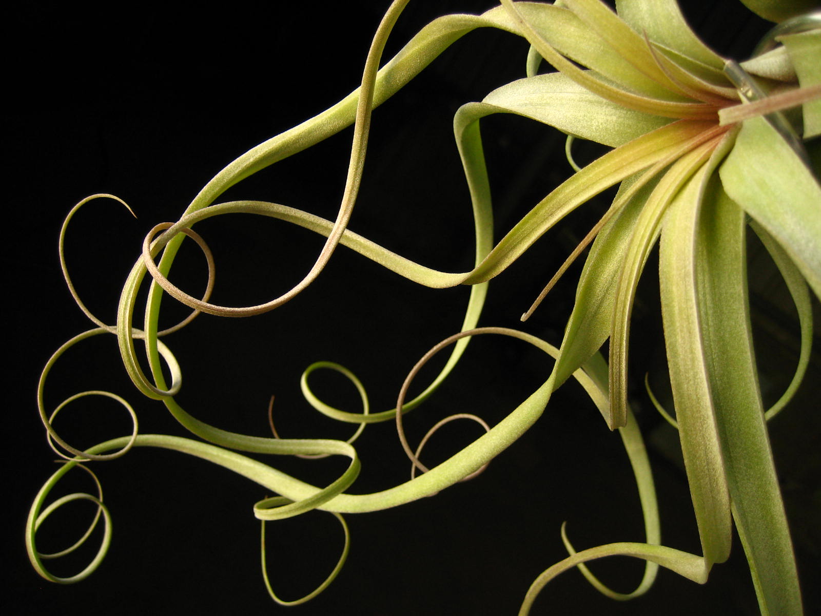 «ö¦¹¦b·sµøµ¡ÂsÄý¹Ï¤ù