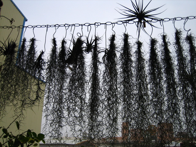 «ö¦¹¦b·sµøµ¡ÂsÄý¹Ï¤ù