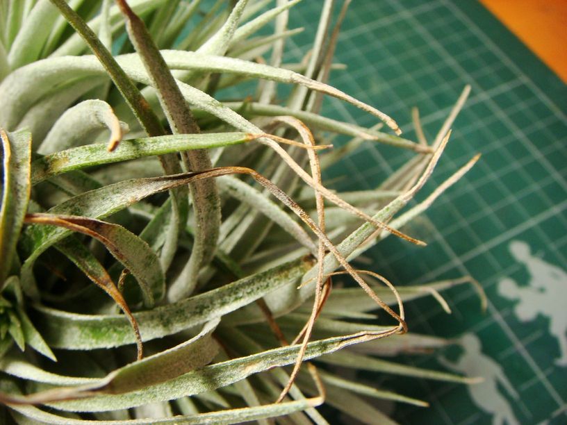 «ö¦¹¦b·sµøµ¡ÂsÄý¹Ï¤ù