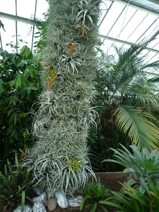 «ö¦¹¦b·sµøµ¡ÂsÄý¹Ï¤ù