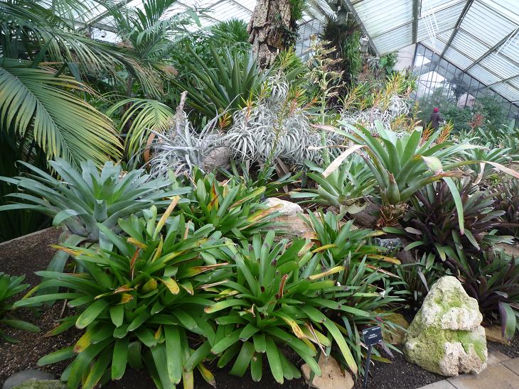 «ö¦¹¦b·sµøµ¡ÂsÄý¹Ï¤ù