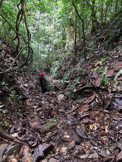 按此在新視窗瀏覽圖片