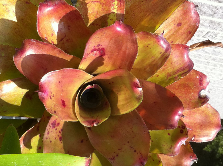 按此在新視窗瀏覽圖片