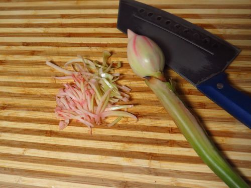«ö¦¹¦b·sµøµ¡ÂsÄý¹Ï¤ù