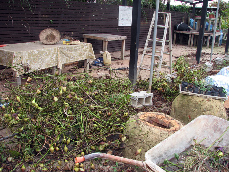 按此在新視窗瀏覽圖片