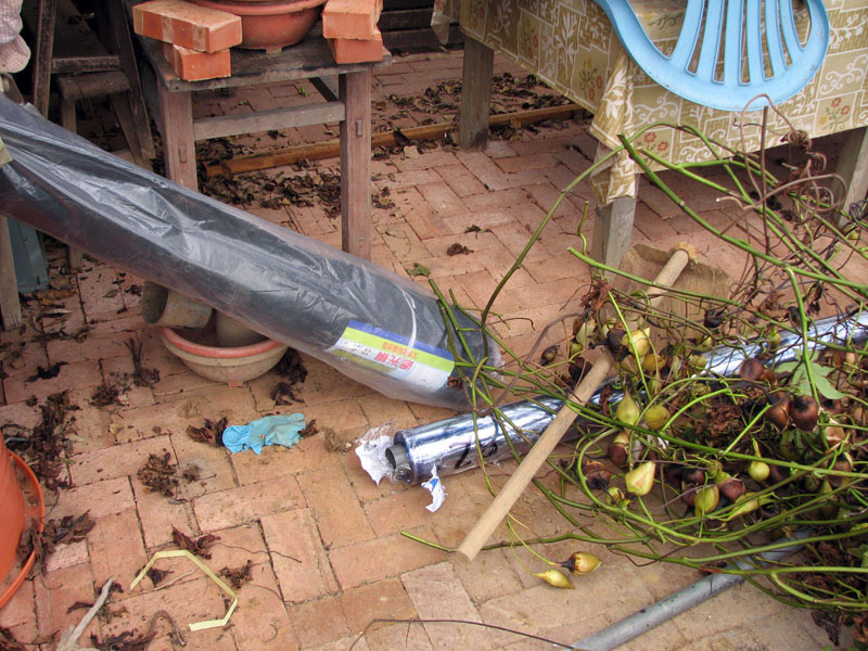 按此在新視窗瀏覽圖片