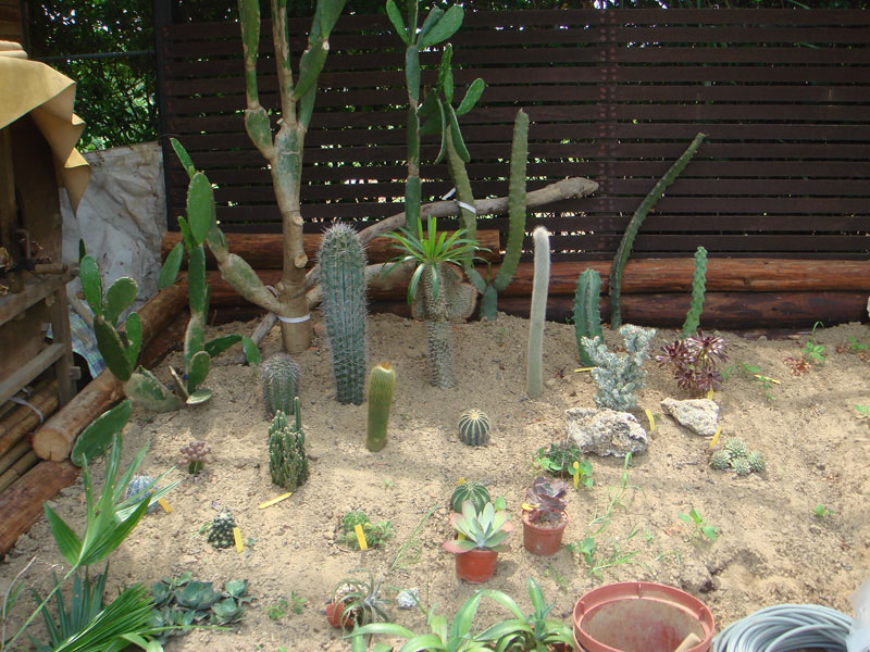 按此在新視窗瀏覽圖片