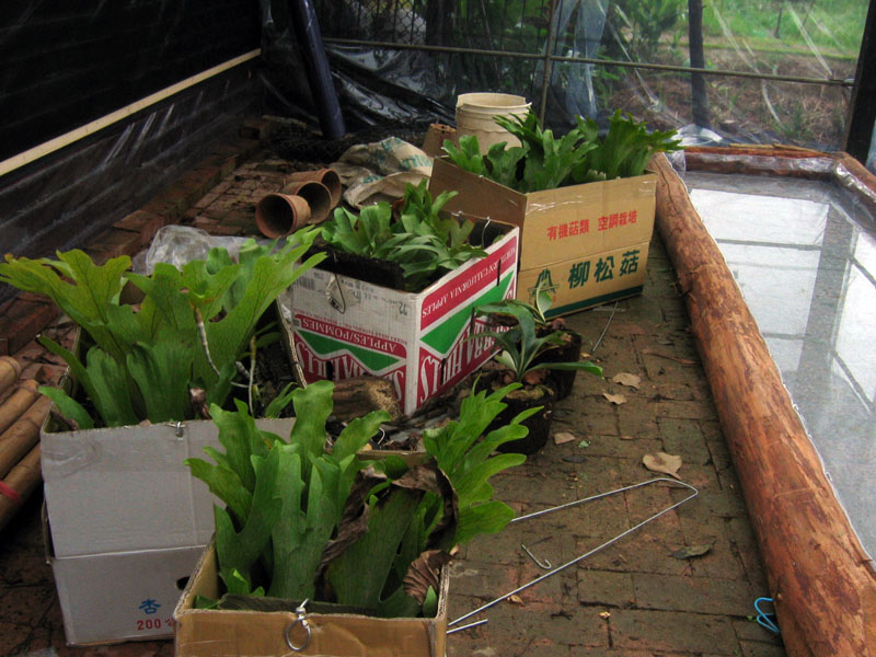 按此在新視窗瀏覽圖片