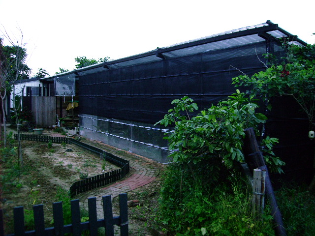 按此在新視窗瀏覽圖片