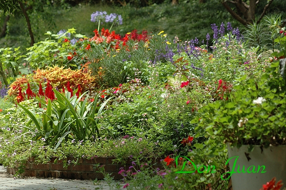 按此在新視窗瀏覽圖片