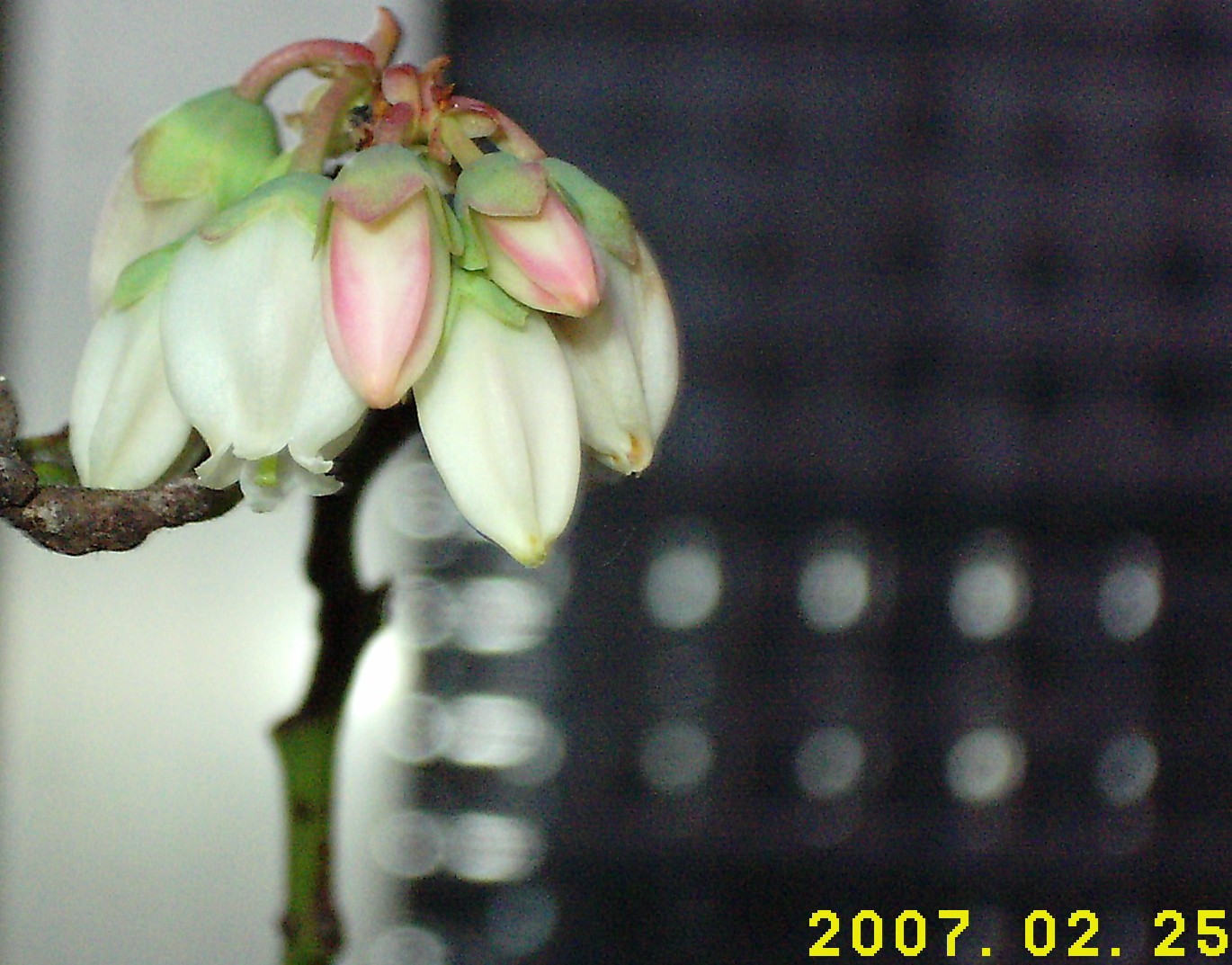 «ö¦¹¦b·sµøµ¡ÂsÄý¹Ï¤ù