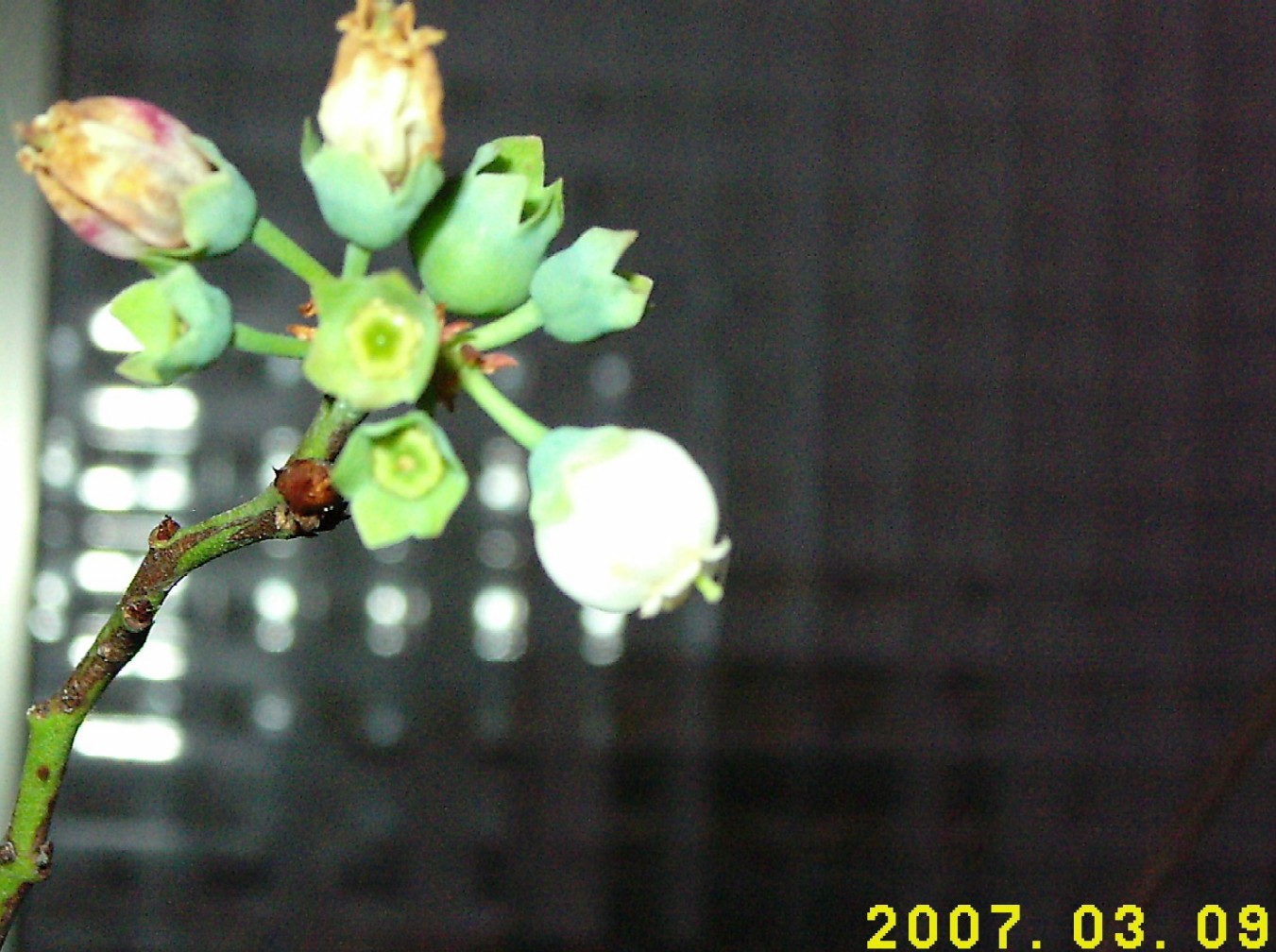 «ö¦¹¦b·sµøµ¡ÂsÄý¹Ï¤ù