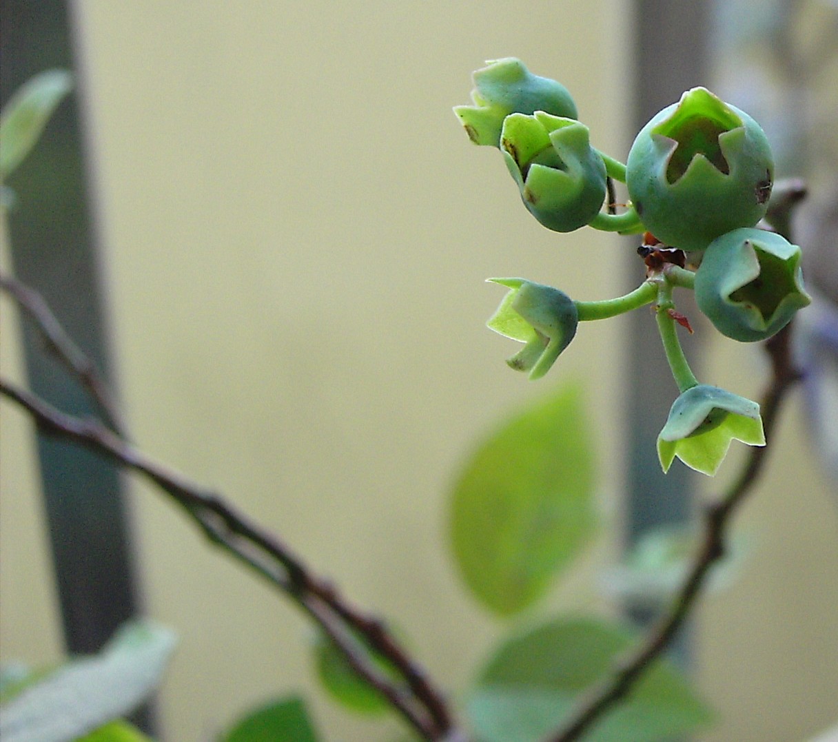 «ö¦¹¦b·sµøµ¡ÂsÄý¹Ï¤ù