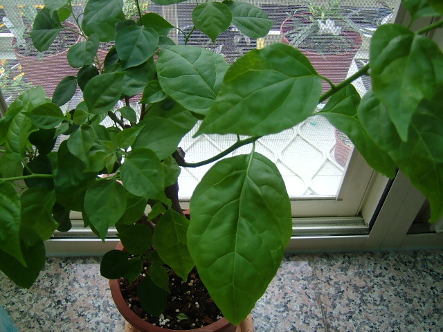 «ö¦¹¦b·sµøµ¡ÂsÄý¹Ï¤ù