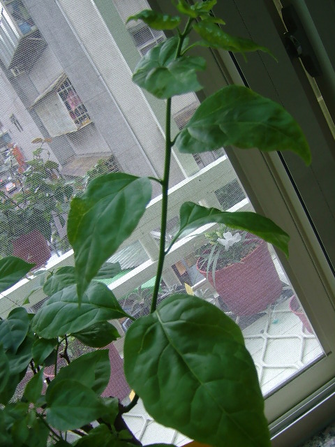 «ö¦¹¦b·sµøµ¡ÂsÄý¹Ï¤ù