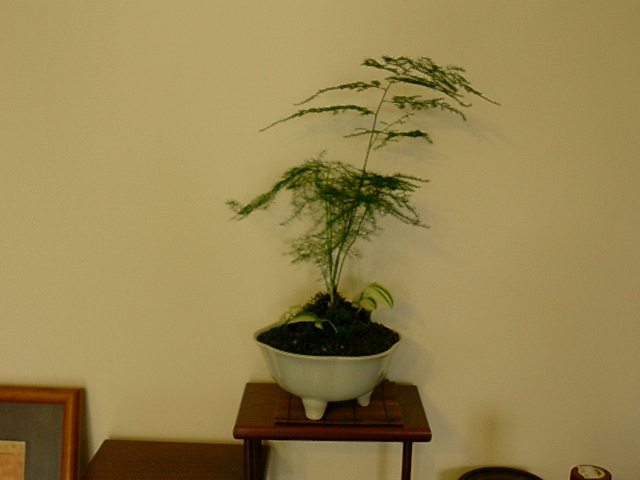 «ö¦¹¦b·sµøµ¡ÂsÄý¹Ï¤ù