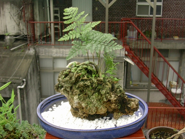 «ö¦¹¦b·sµøµ¡ÂsÄý¹Ï¤ù