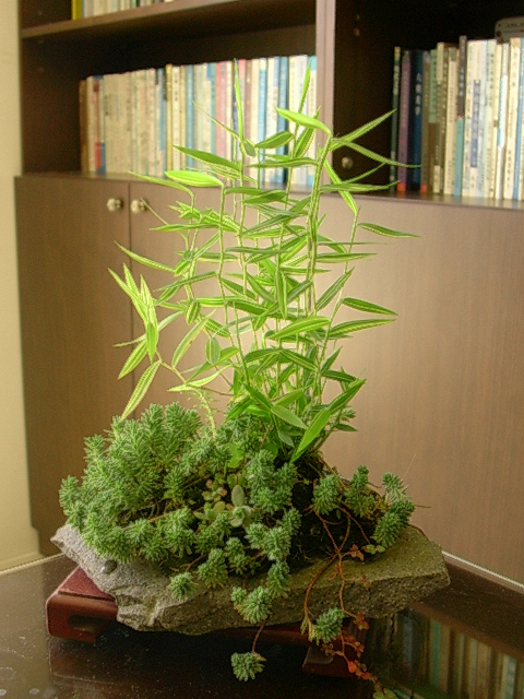 «ö¦¹¦b·sµøµ¡ÂsÄý¹Ï¤ù