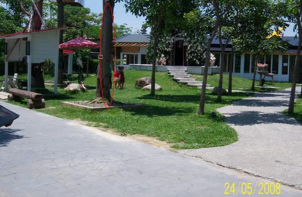 按此在新視窗瀏覽圖片