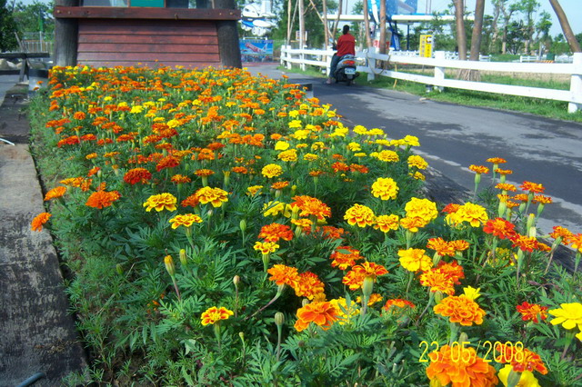 按此在新視窗瀏覽圖片