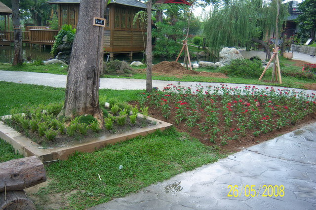 按此在新視窗瀏覽圖片