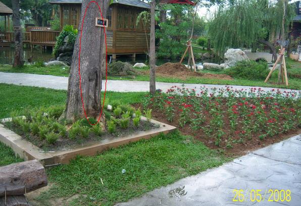 按此在新視窗瀏覽圖片