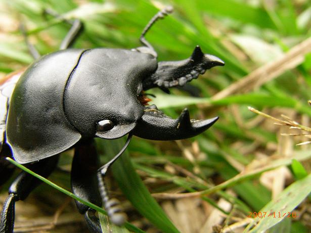 按此在新視窗瀏覽圖片