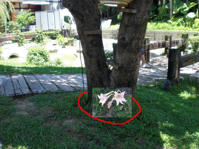 按此在新視窗瀏覽圖片