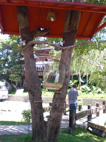 按此在新視窗瀏覽圖片