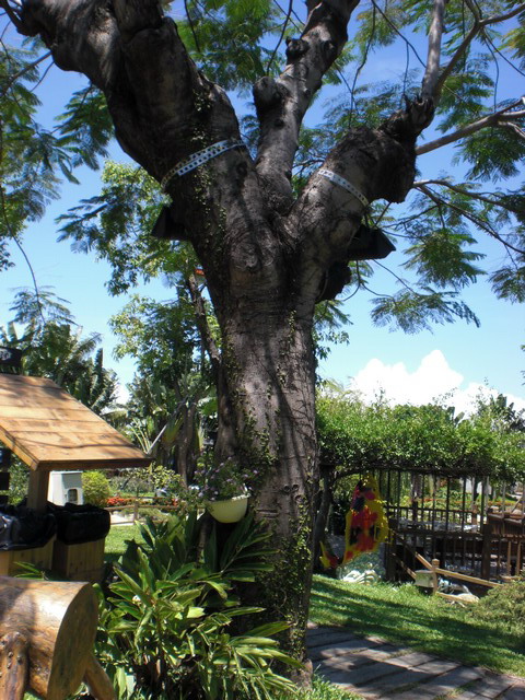 按此在新視窗瀏覽圖片